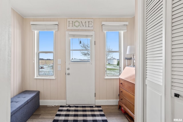 doorway featuring dark hardwood / wood-style floors, plenty of natural light, and wooden walls