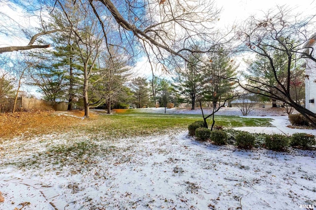 view of snowy yard