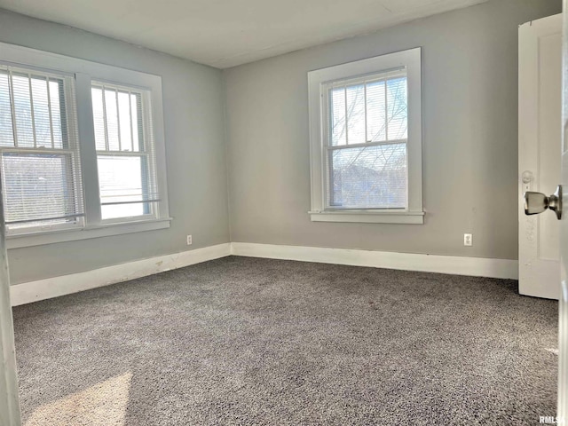 spare room with carpet