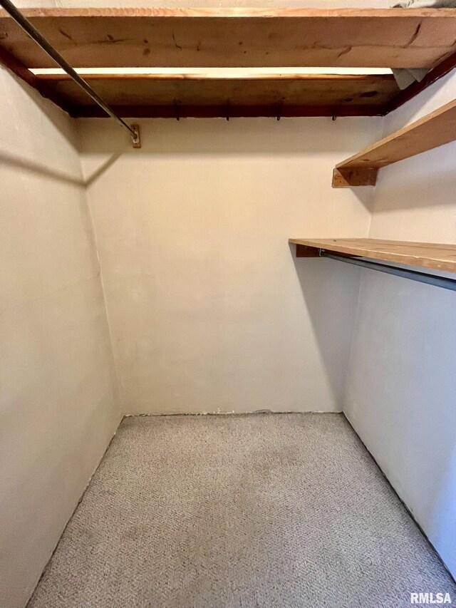 1812 E 1650th St, Paloma, IL 62359 - walk in closet with carpet flooring