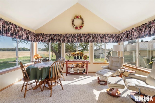 sunroom with lofted ceiling