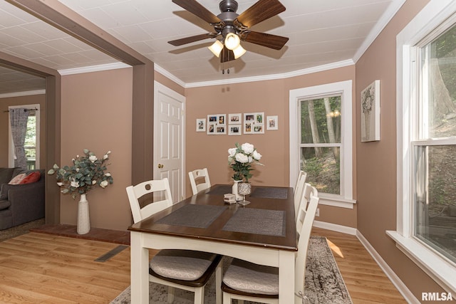 dining area with light hardwood / wood-style flooring, a healthy amount of sunlight, and ornamental molding