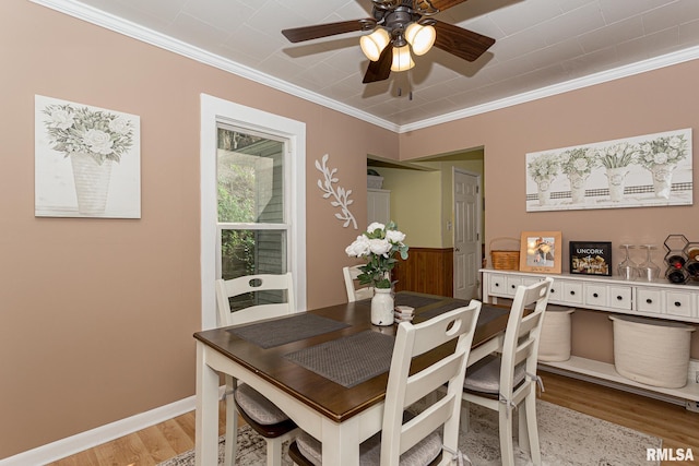 dining space with ceiling fan, light wood-type flooring, and ornamental molding