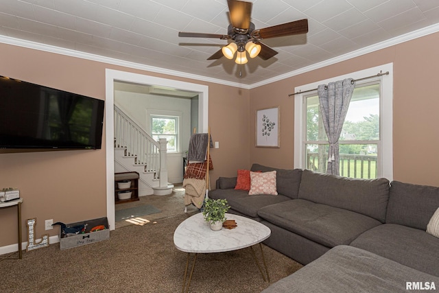 carpeted living room with crown molding, plenty of natural light, and ceiling fan