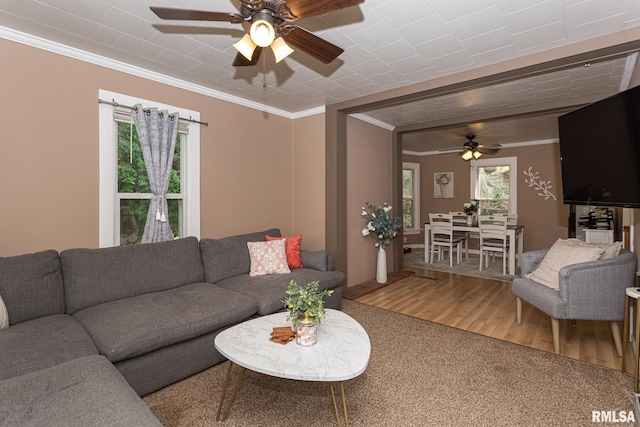 living room featuring wood-type flooring, ceiling fan, and crown molding