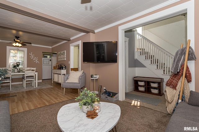 living room featuring beamed ceiling, hardwood / wood-style floors, ceiling fan, and crown molding