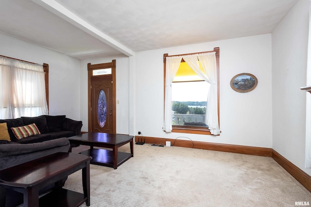 view of carpeted living room