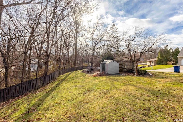 view of yard with a shed