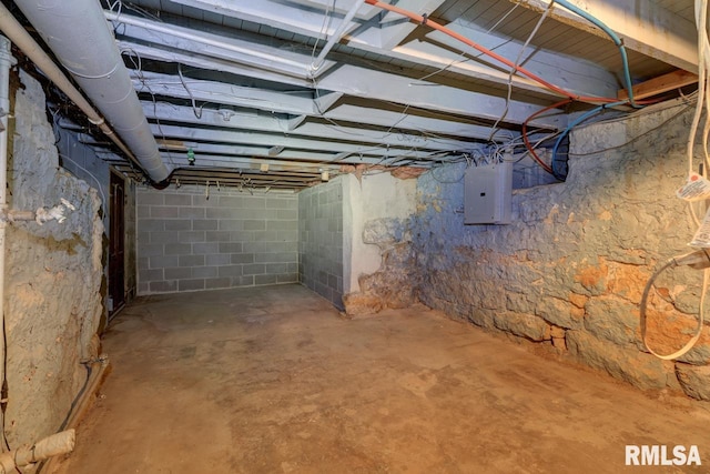 basement with electric panel