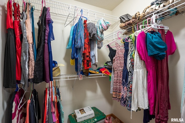 view of walk in closet