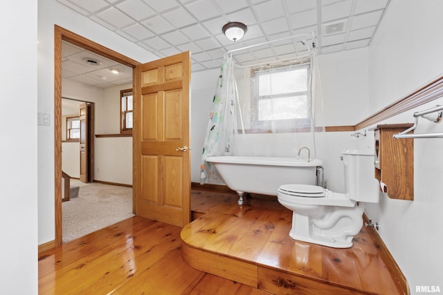 bathroom featuring a tub to relax in, toilet, a drop ceiling, and hardwood / wood-style flooring