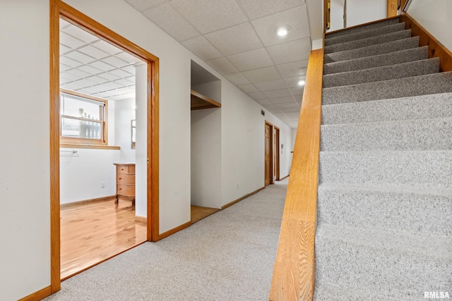 stairs featuring a paneled ceiling and carpet