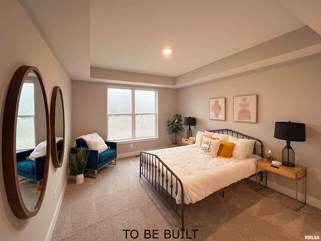 bedroom featuring a raised ceiling and light carpet