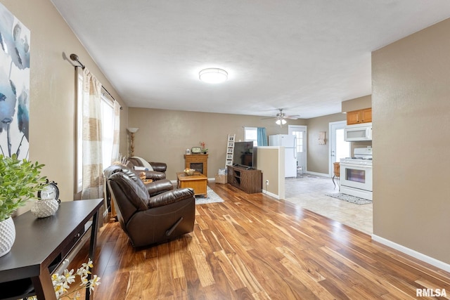 living room with ceiling fan and light hardwood / wood-style flooring