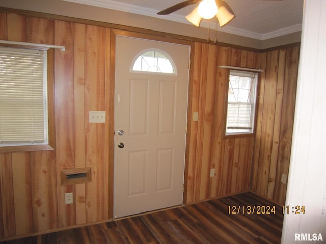 foyer with ceiling fan, wood walls, dark hardwood / wood-style flooring, and crown molding