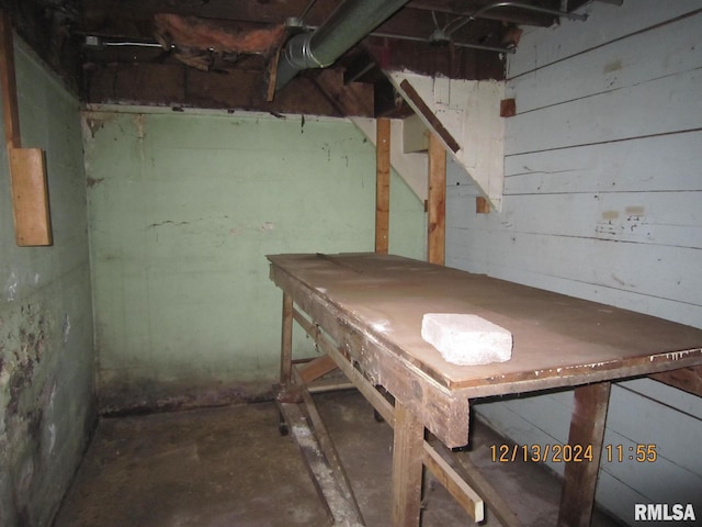 basement with wooden walls