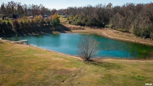 property view of water