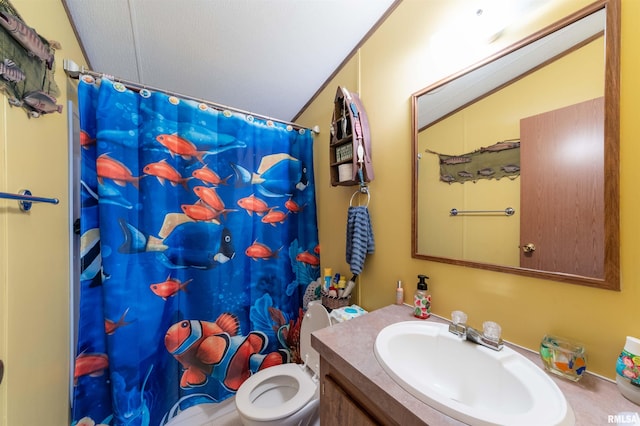 bathroom with toilet, vanity, vaulted ceiling, and a shower with shower curtain