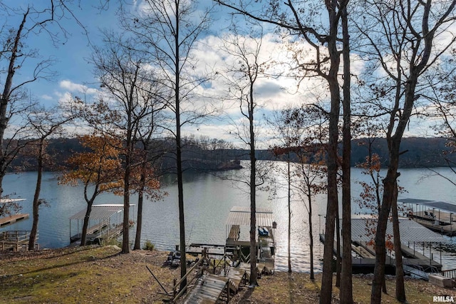 water view featuring a dock