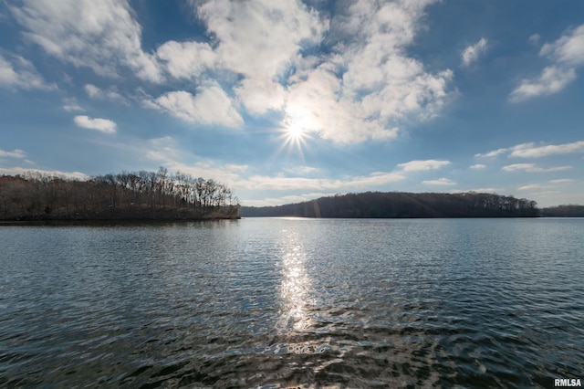 property view of water