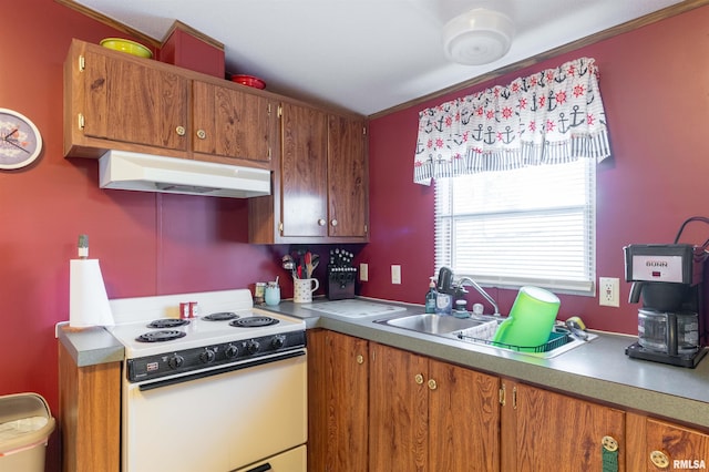 kitchen with white electric range oven, ornamental molding, and sink