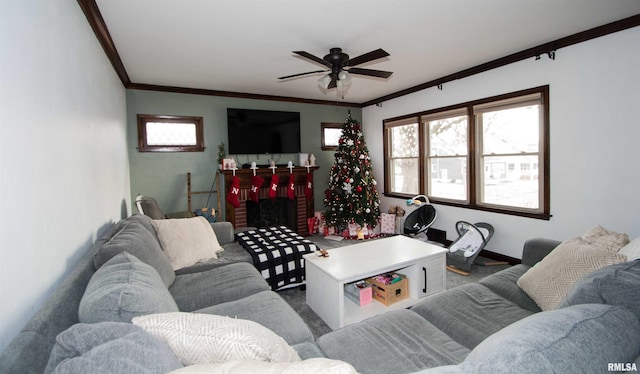 carpeted living room featuring crown molding, a fireplace, and ceiling fan