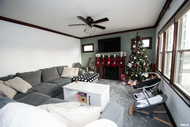 carpeted living room with a brick fireplace, a wealth of natural light, crown molding, and ceiling fan