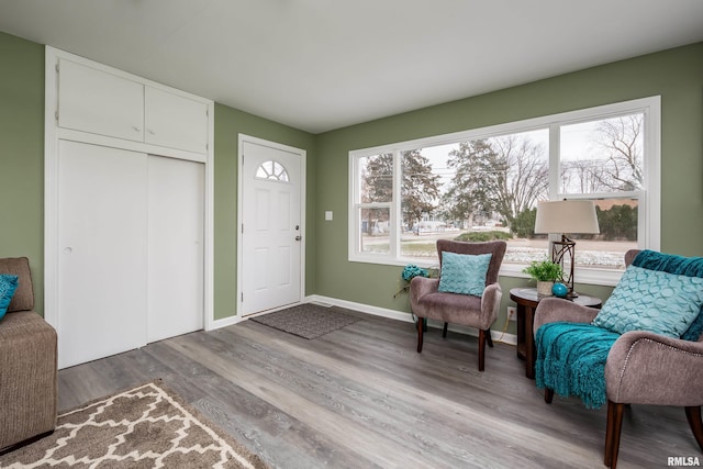 sitting room featuring a healthy amount of sunlight and light hardwood / wood-style floors