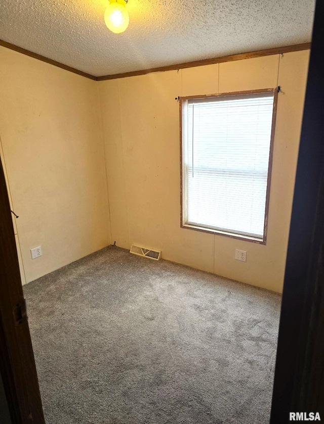 carpeted empty room with crown molding and a textured ceiling