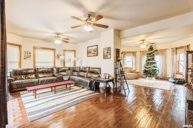 living room with ceiling fan and wood-type flooring