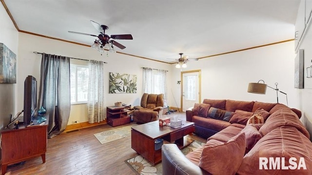 living room featuring hardwood / wood-style floors, ceiling fan, and ornamental molding