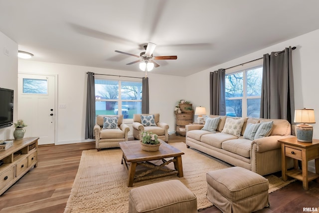 living room with a wealth of natural light, ceiling fan, and wood-type flooring