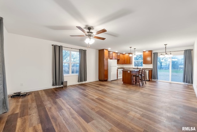 kitchen with wood-type flooring, white appliances, decorative light fixtures, and a wealth of natural light