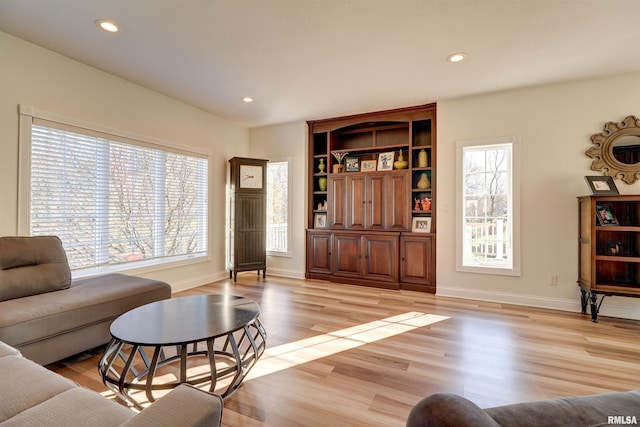 living room featuring light hardwood / wood-style floors