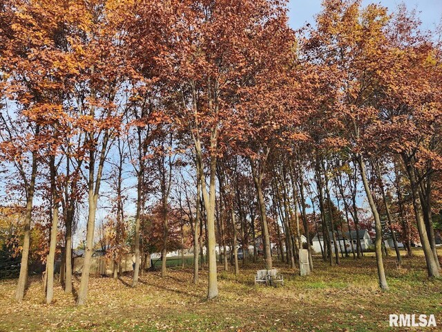 LOT318, 325 W 19th Ave, Coal Valley, IL 61240 - photo 2