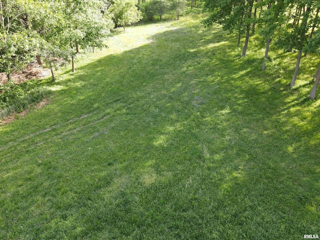 LOT318, 325 W 19th Ave, Coal Valley, IL 61240 - photo 11