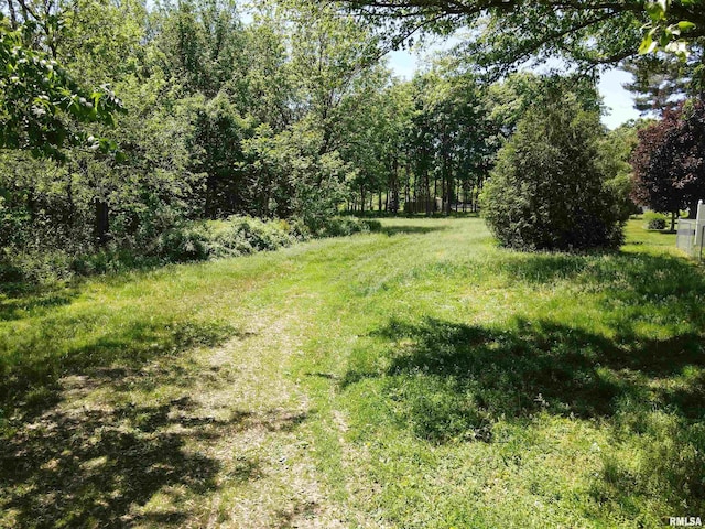LOT318, 325 W 19th Ave, Coal Valley, IL 61240 - photo 14