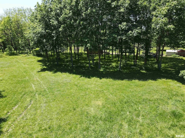 LOT318, 325 W 19th Ave, Coal Valley, IL 61240 - photo 15