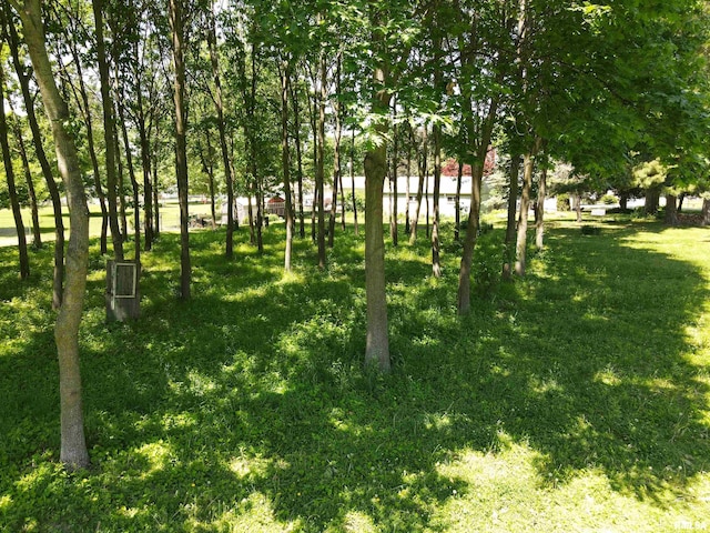LOT318, 325 W 19th Ave, Coal Valley, IL 61240 - photo 16