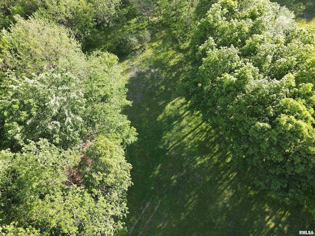 LOT318, 325 W 19th Ave, Coal Valley, IL 61240 - photo 18