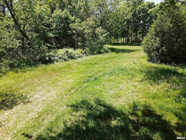 LOT318, 325 W 19th Ave, Coal Valley, IL 61240 - photo 20