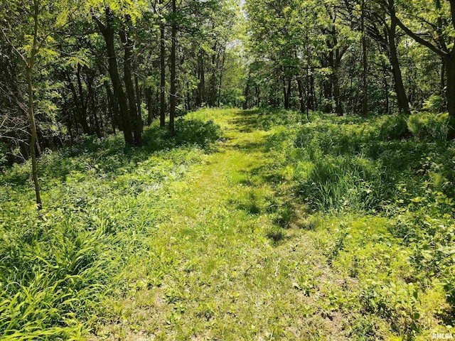 LOT318, 325 W 19th Ave, Coal Valley, IL 61240 - photo 22