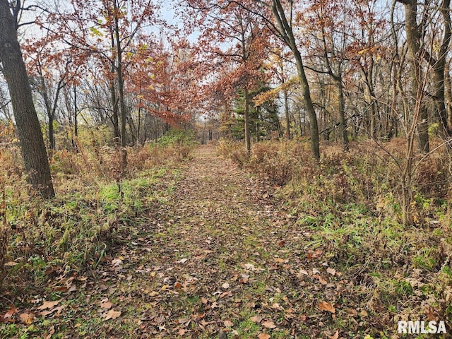 LOT318, 325 W 19th Ave, Coal Valley, IL 61240 - photo 4