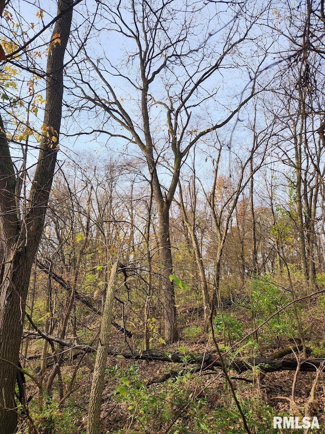 LOT318, 325 W 19th Ave, Coal Valley, IL 61240 - photo 5