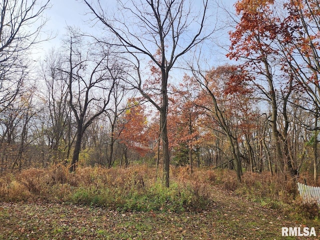 LOT318, 325 W 19th Ave, Coal Valley, IL 61240 - photo 8