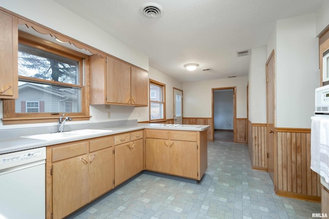 kitchen with a sink, a healthy amount of sunlight, white dishwasher, and wainscoting