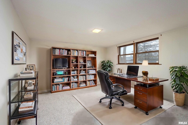 view of carpeted home office