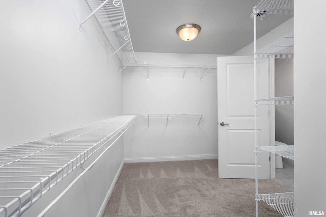 walk in closet with carpet