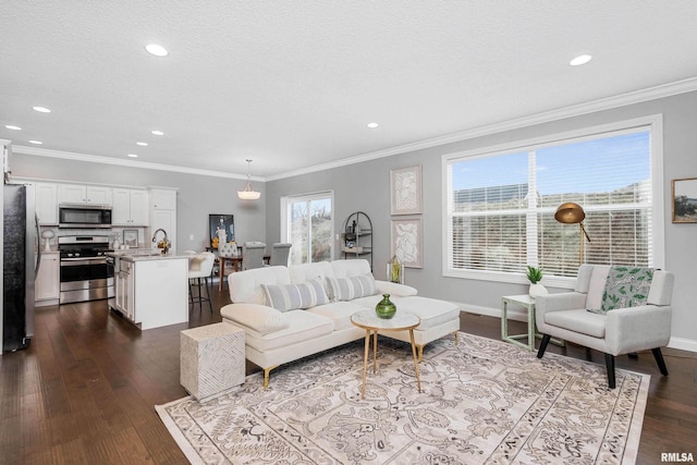 living room featuring a textured ceiling, crown molding, dark wood-type flooring, and sink