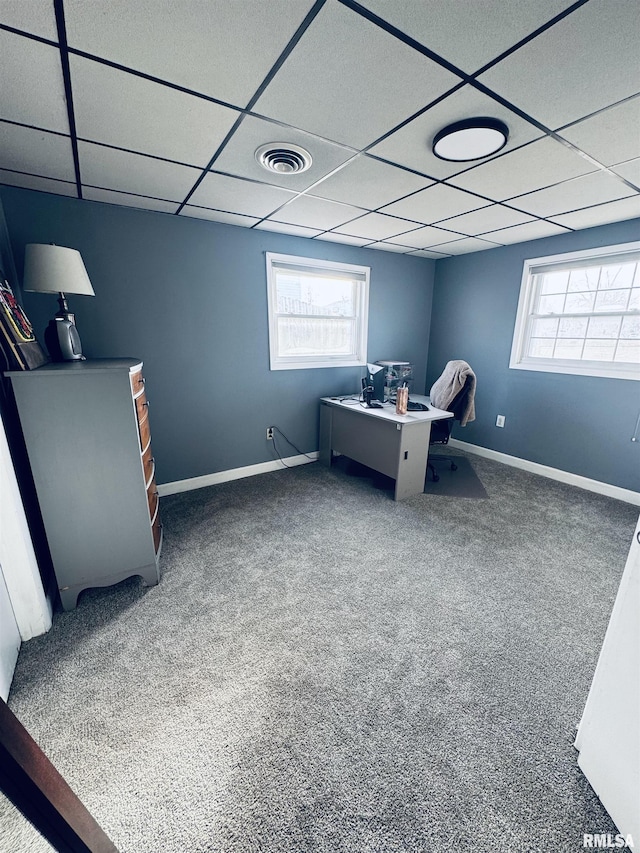 carpeted office space featuring a drop ceiling